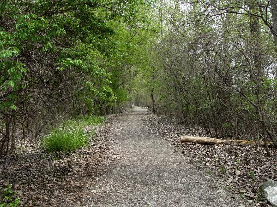 Pipe Creek Wildlife Area